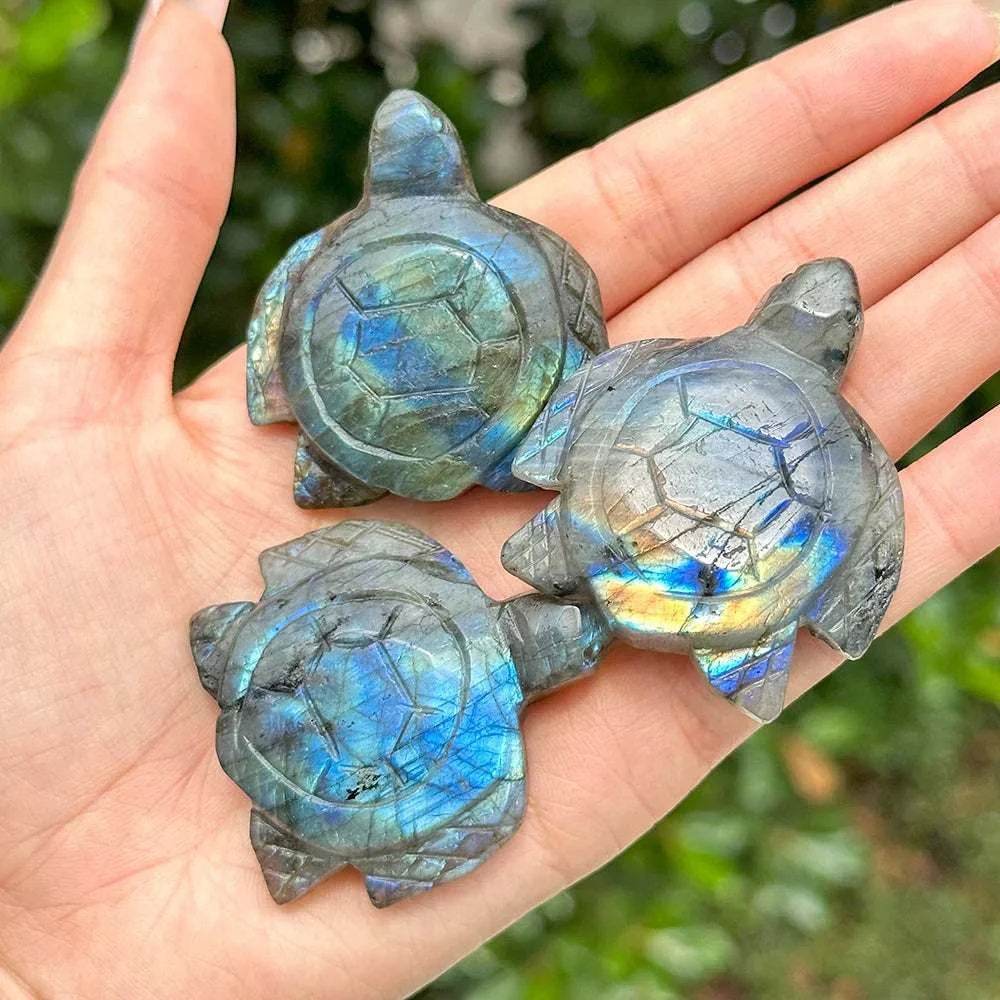 Labradorite Turtle Natural Carving CrystalReikiEnergyMeditation Stone - zenfulharmony.com