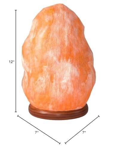 The Body Source Himalayan Salt Lamp 10-12 inches (11-15Ib), Includes Dimmer Switch and Night Light - All Natural Salt Lamp with Handcrafted Wooden Base and Light Bulb Replacement - zenfulharmony.com