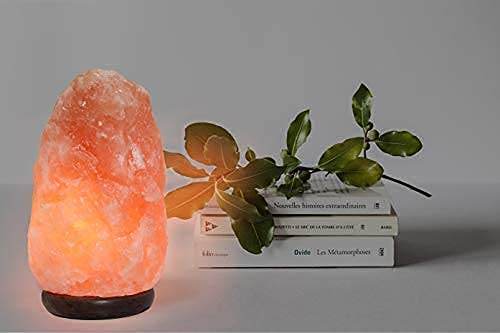 7 Inch Himalayan Salt Lamp with Dimmer Cord - Night Light Natural Crystal Rock Classic Wood Base Authentic from Pakistan - zenfulharmony.com