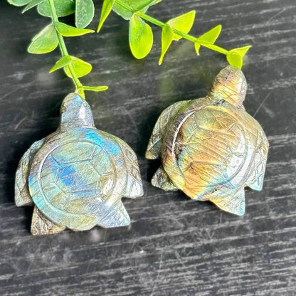 Labradorite Turtle Natural Carving CrystalReikiEnergyMeditation Stone - zenfulharmony.com