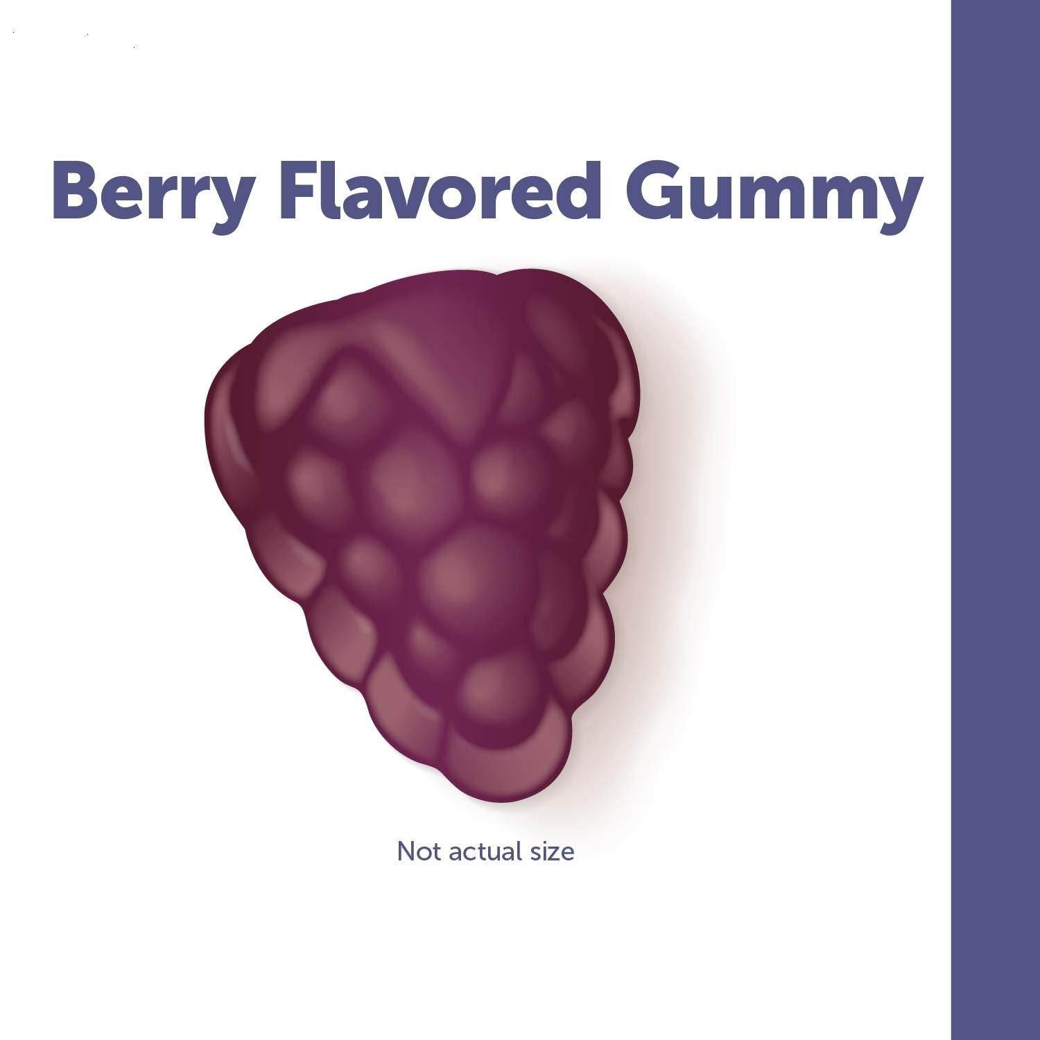 Nature’s Way Sambucus Elderberry Immune Gummies, Daily Immune Support for Kids and Adults*, with Vitamin C, Vitamin D3, Zinc, Gluten Free, Vegetarian, 60 Gummies (Packaging May Vary) - zenfulharmony.com