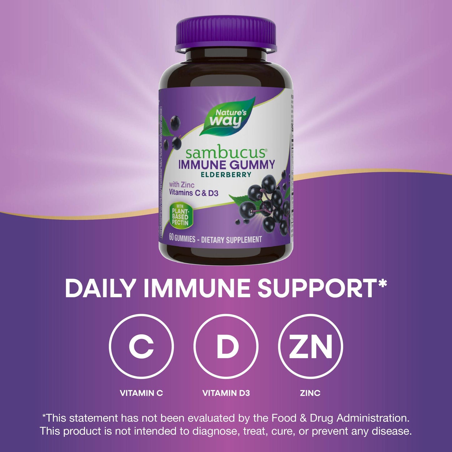 Nature’s Way Sambucus Elderberry Immune Gummies, Daily Immune Support for Kids and Adults*, with Vitamin C, Vitamin D3, Zinc, Gluten Free, Vegetarian, 60 Gummies (Packaging May Vary) - zenfulharmony.com