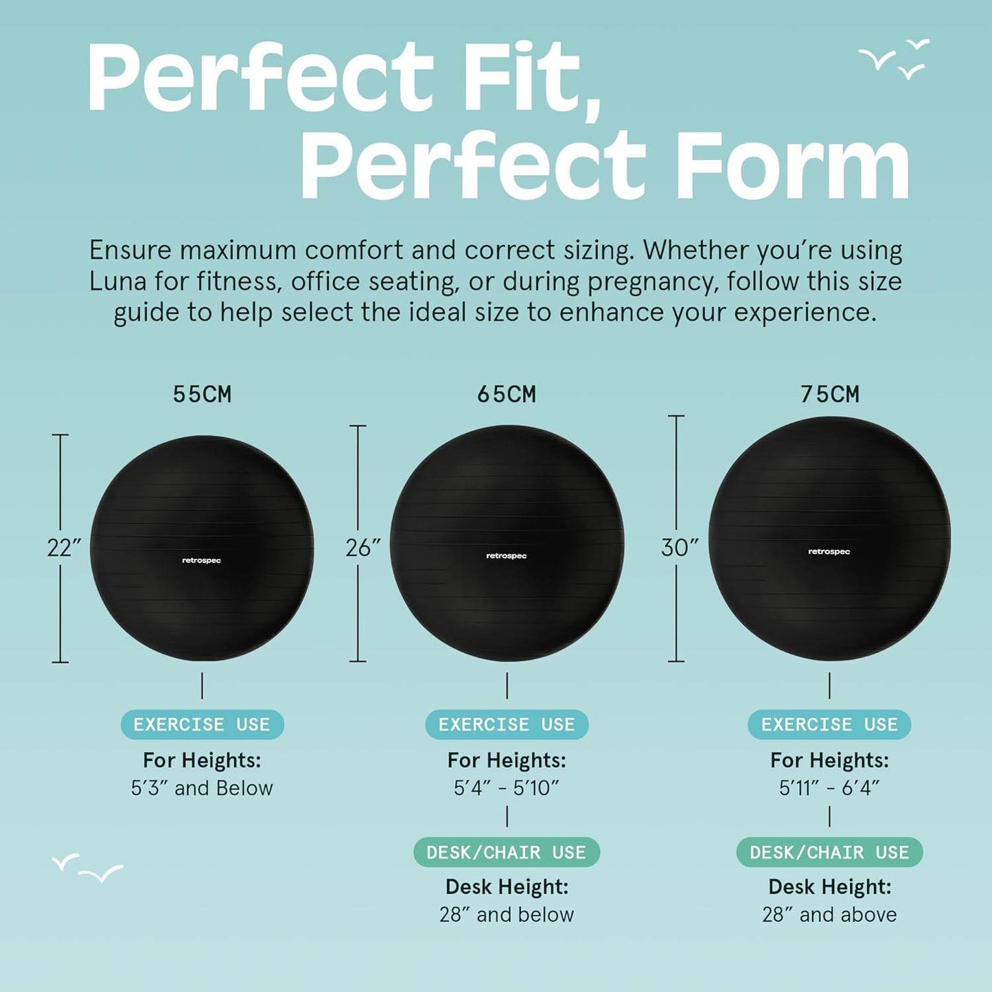 Retrospec Luna Exercise Ball, Base & Pump/Ball & Pump with Anti-Burst Material - Fitness Gym Swiss Ball - Perfect for Balance, Stability, Yoga, Pilates, Pregnancy & Birthing - zenfulharmony.com