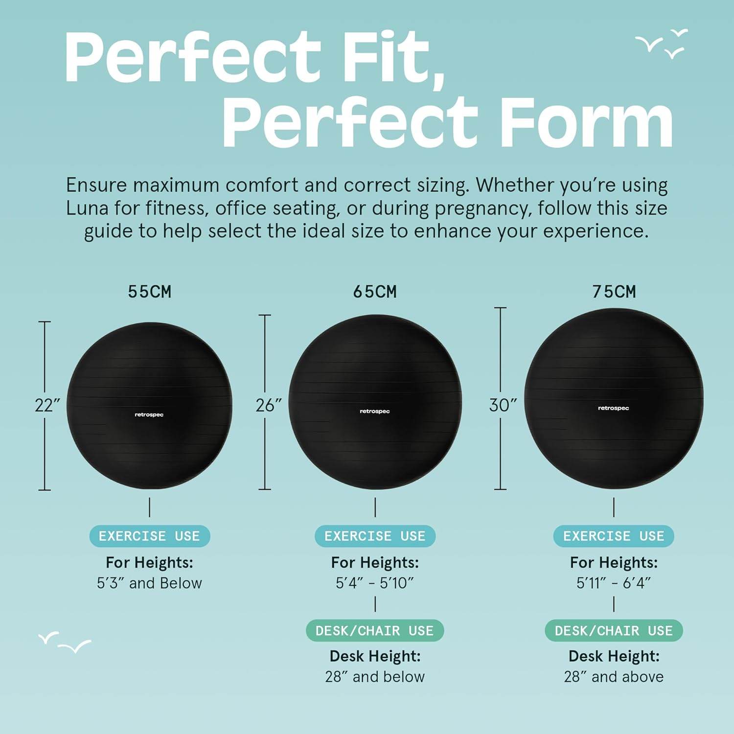 Retrospec Luna Exercise Ball, Base & Pump/Ball & Pump with Anti-Burst Material - Fitness Gym Swiss Ball - Perfect for Balance, Stability, Yoga, Pilates, Pregnancy & Birthing - zenfulharmony.com