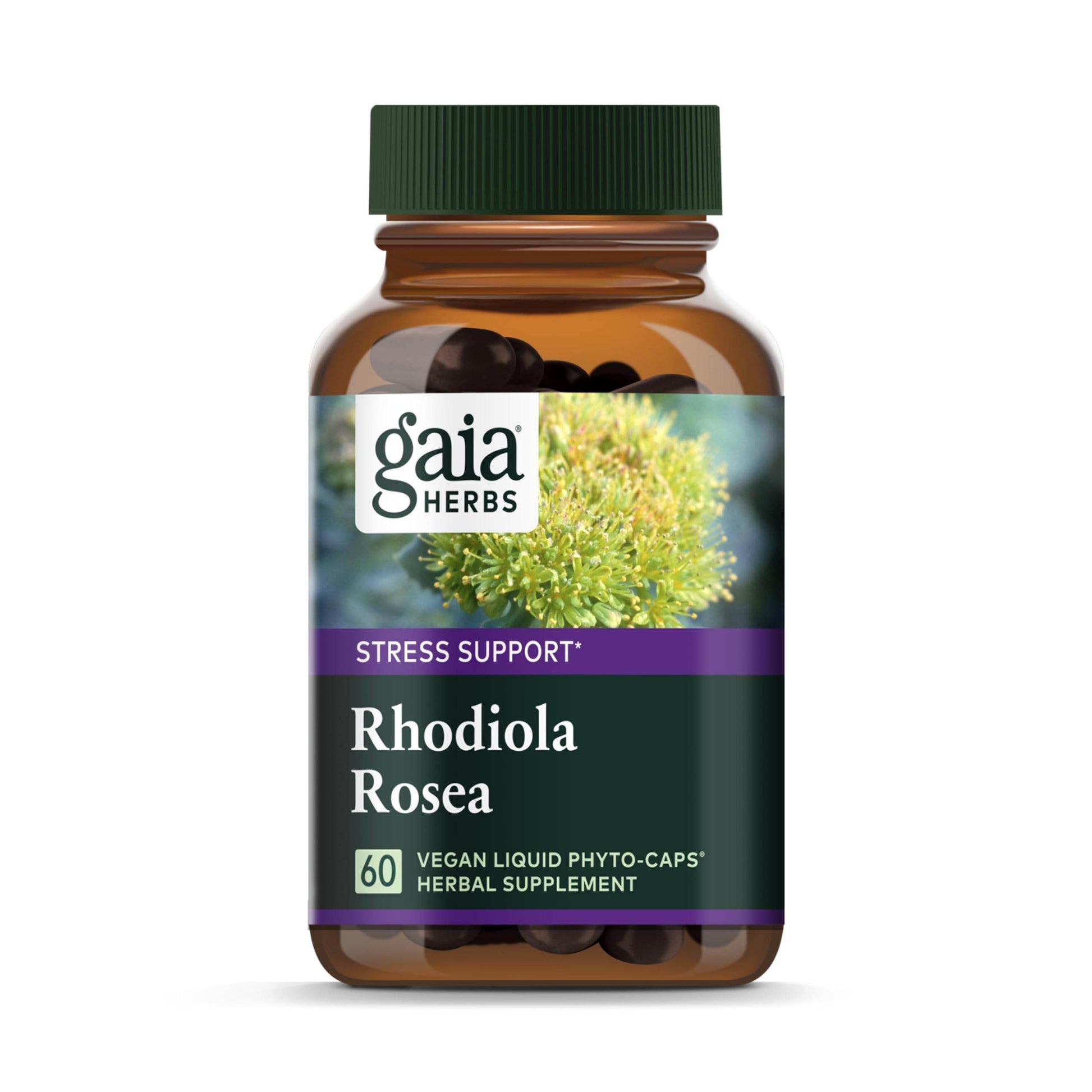 Gaia Herbs Rhodiola Rosea - Stress Support Supplement Traditionally for Supporting Healthy Stamina and Endurance - with Siberian Rhodiola Root Extract - 60 Vegan Liquid Phyto-Capsules (30-Day Supply) - zenfulharmony.com