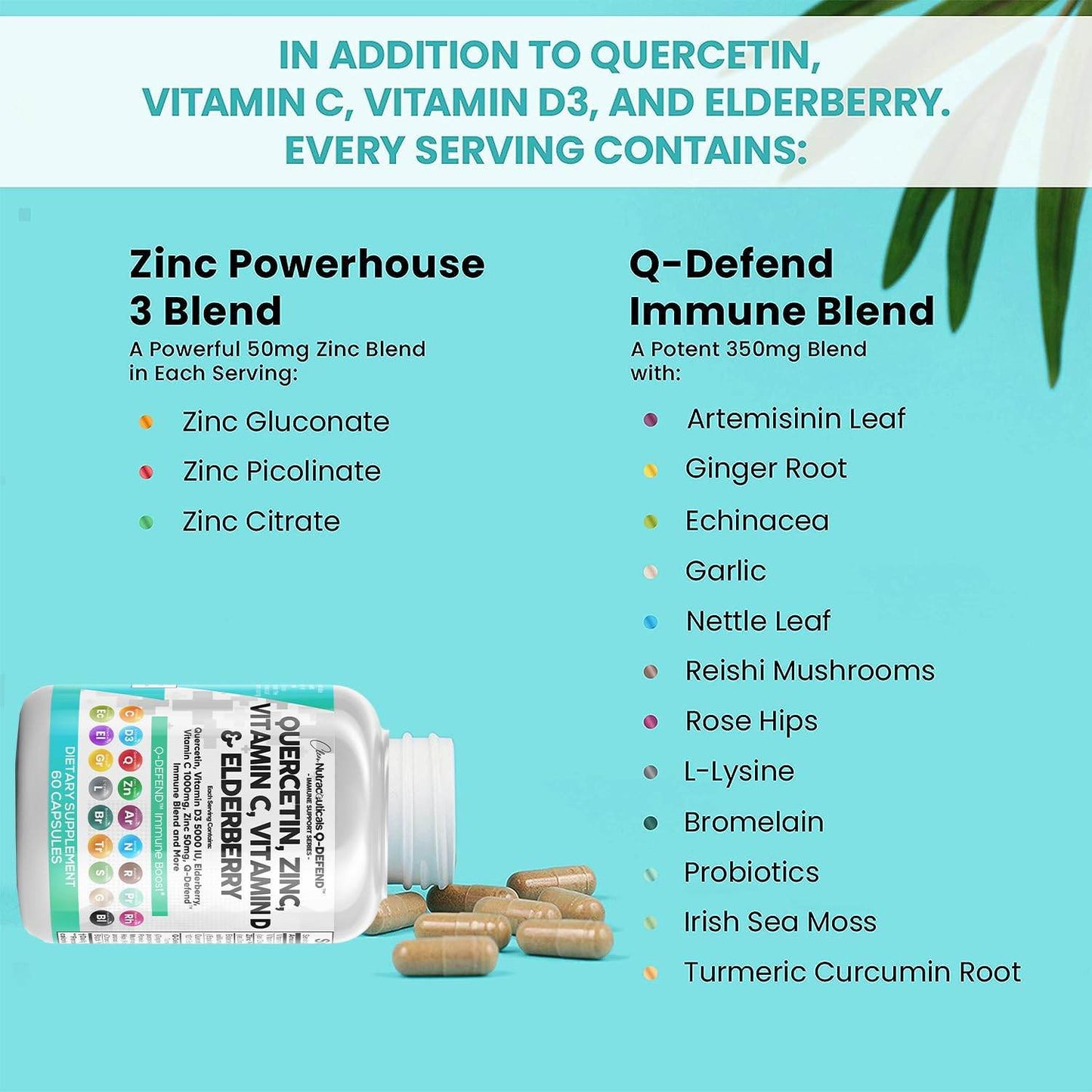 Clean Nutraceuticals Quercetin 1000mg Zinc 50mg Vitamin C 1000mg Vitamin D 5000 IU Bromelain Elderberry - Lung Immune Support Supplement Adults with Artemisinin, Sea Moss, Echinacea, Allergy Relief - zenfulharmony.com