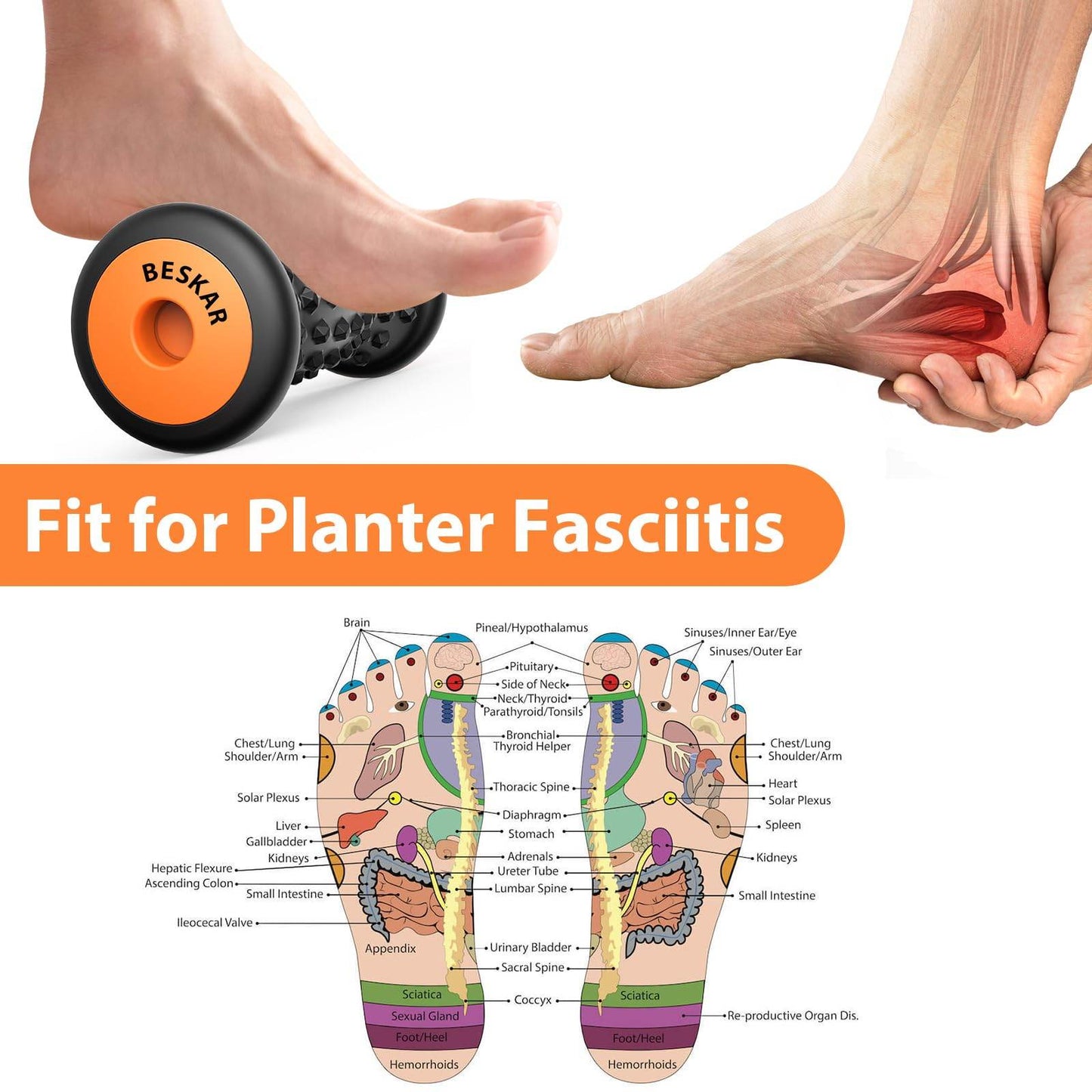 BESKAR Foot Massager Roller for Plantar Fasciitis Relief, Portable, Deep Tissue Muscle Massage, Foot Arch and Heel Pain, Reflexology Tool - zenfulharmony.com