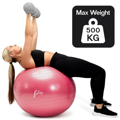 Femeo® Exercise Ball for Yoga, Stability, Pregnancy Pilates & Birthing | 100 Page Book | Over 50 Workout Exercises | Anti Burst Pink 65cm - zenfulharmony.com