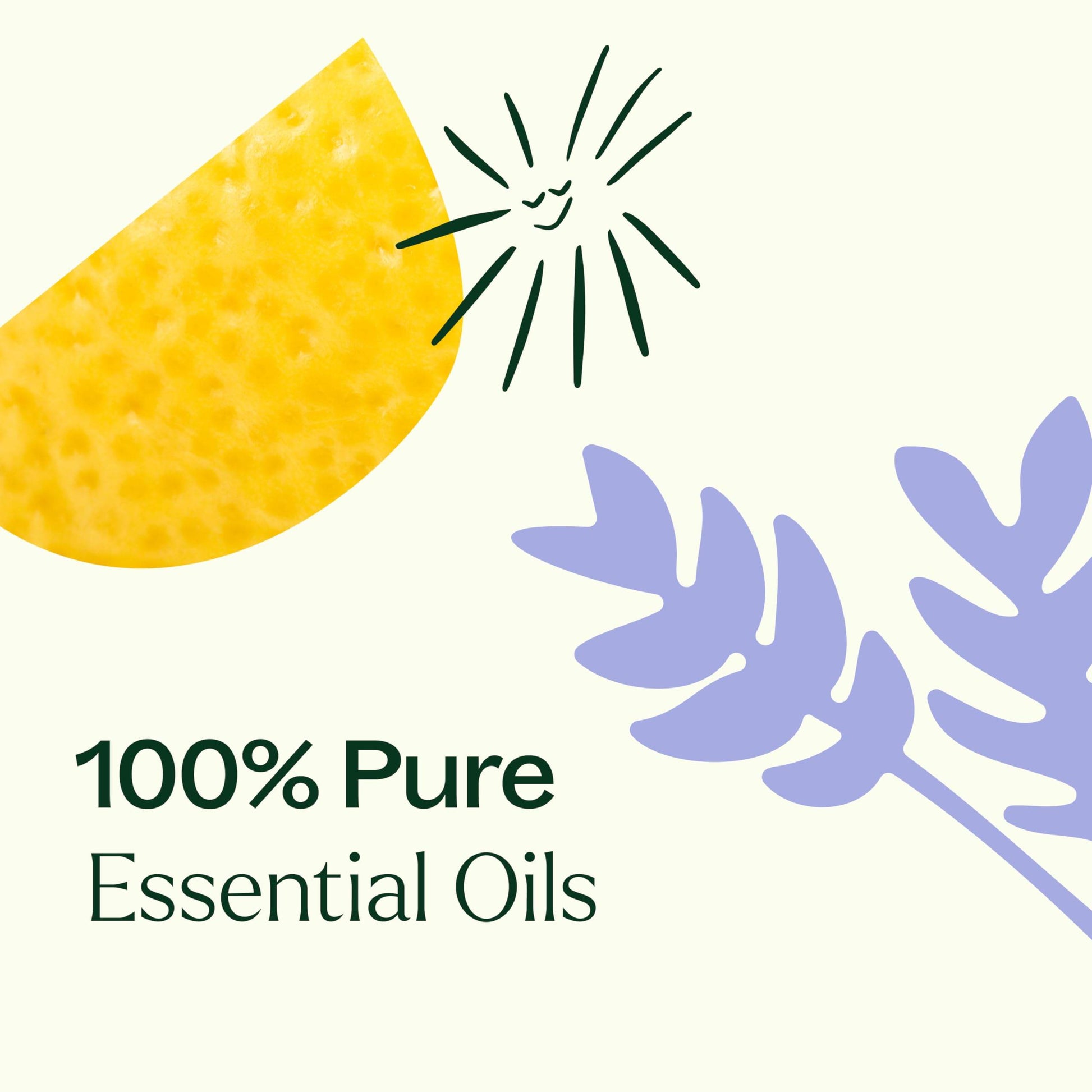 Plant Therapy Top 6 USDA Organic Essential Oil Set - Lavender, Peppermint, Eucalyptus, Lemon, Tea Tree 100% Pure, Natural Aromatherapy, for Diffusion & Topical Use, Therapeutic Grade 10 mL (1/3 oz) - zenfulharmony.com
