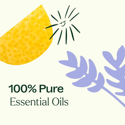 Plant Therapy Top 6 USDA Organic Essential Oil Set - Lavender, Peppermint, Eucalyptus, Lemon, Tea Tree 100% Pure, Natural Aromatherapy, for Diffusion & Topical Use, Therapeutic Grade 10 mL (1/3 oz) - zenfulharmony.com