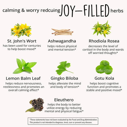 Joy-Filled Mood Support Supplement with St. Johns Wort | Stress Relief Supplement - Helps Calm The Mind & Body | 100% Plant-Based, Ashwagandha, Rhodiola Rosea, Eleuthero | Herbal, 60 ct - zenfulharmony.com