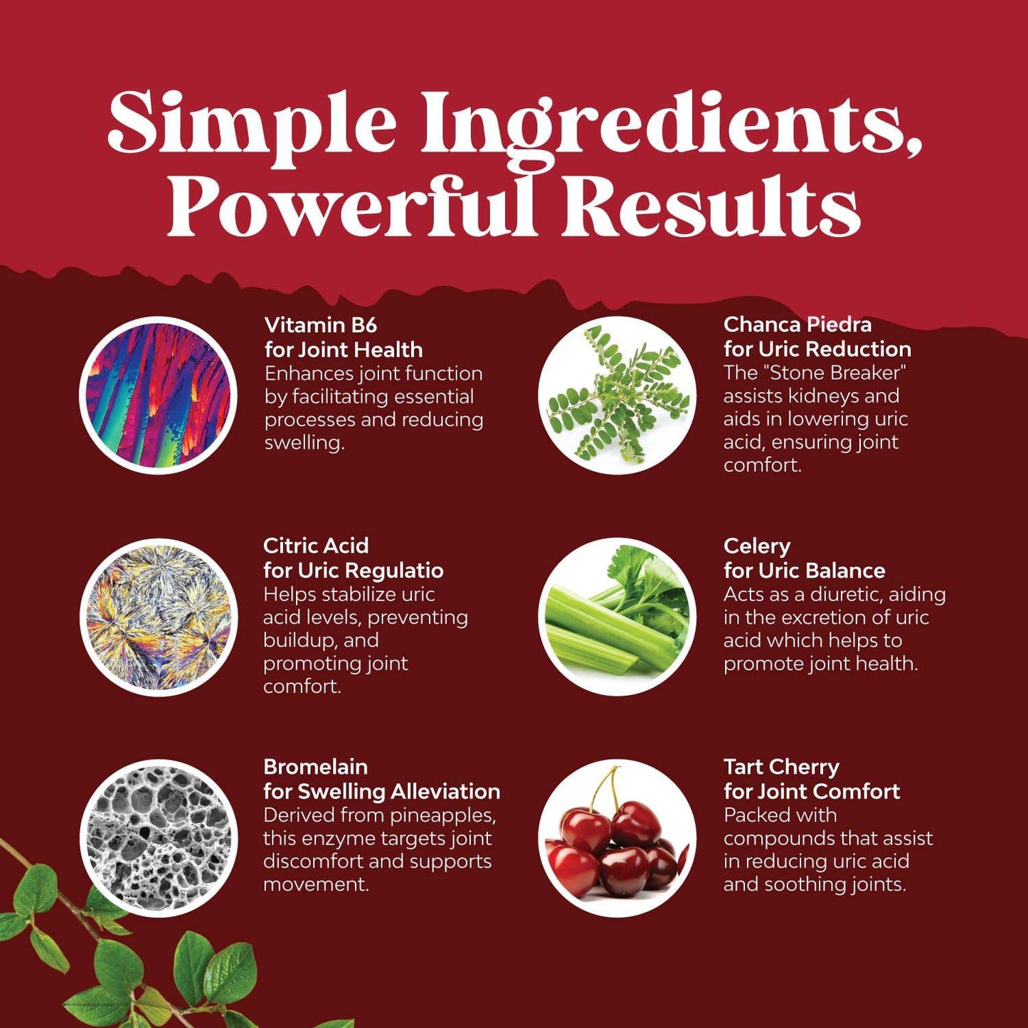 Herbal Uric Acid Cleanse and Detox - Essential Daily Kidney Cleanse and Uric Acid Support for Adults – Joint Support Supplement and Detox Cleanse with Tart Cherry Extract Capsules for Men and Women - zenfulharmony.com