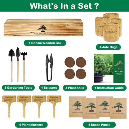 LUOJIBIE Bonsai Tree Kit, Complete Indoor Bonsai Starter Kit for Growing Bonsai Plants with Tools & Pots, Grow Bonsai Tree in Live Indoor, Plant Bonsai Kits, DIY Gardening Gifts for Men and Women - zenfulharmony.com