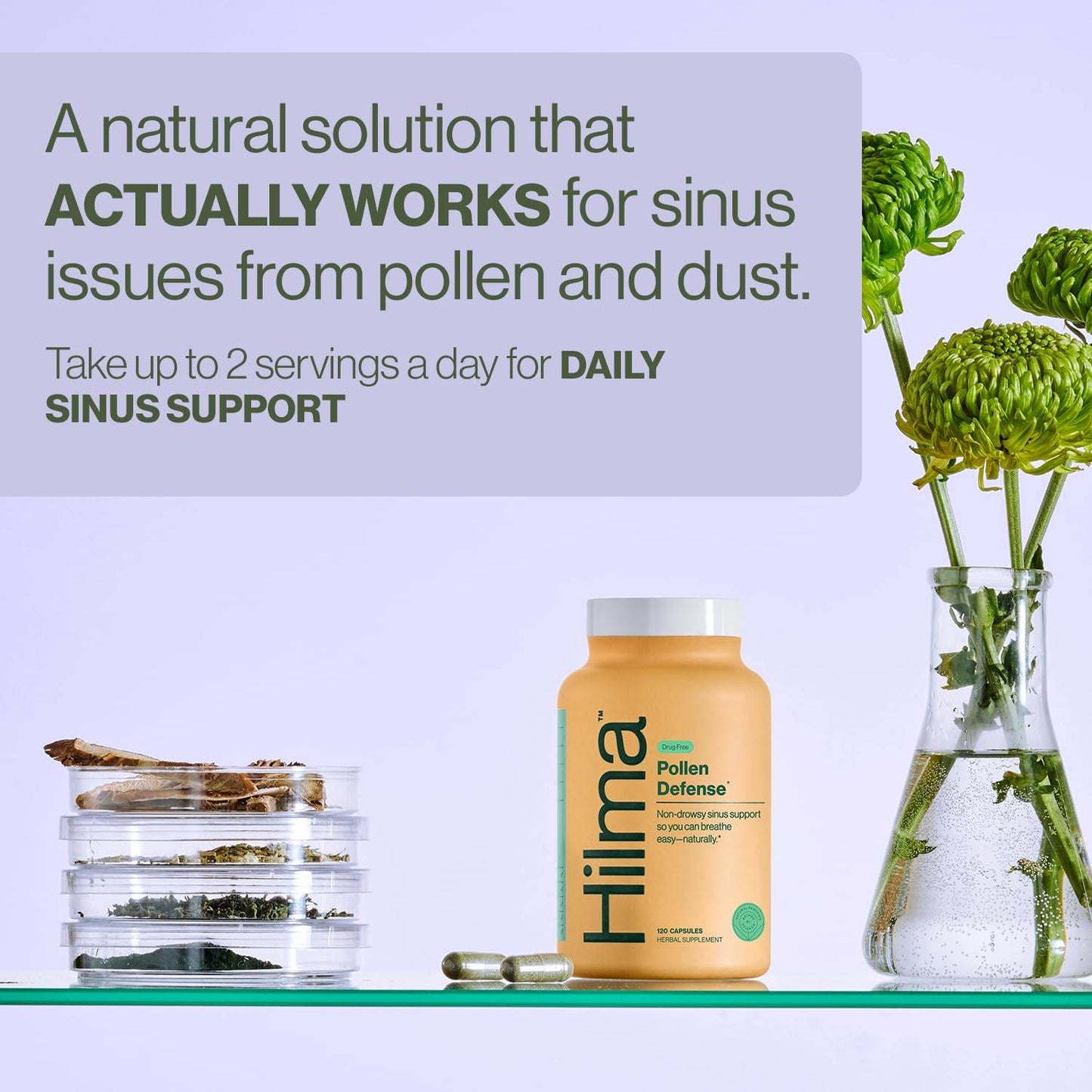 Hilma Natural Sinus Support – All Day Allergy & Sinus Relief from Pollen & Dust w/Butterbur, Stinging Nettles & Spirulina - Non-Drowsy - Organic, Clinically Proven Ingredients - 120 Vegan Capsules - zenfulharmony.com