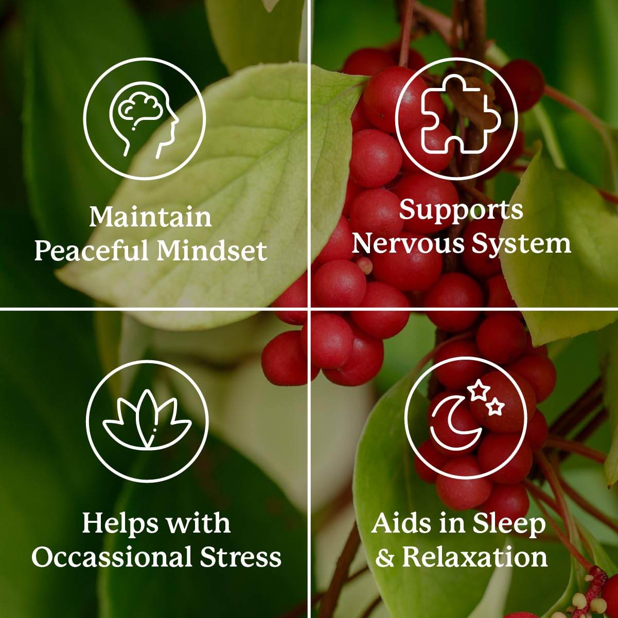 Nature's Sunshine Nutri-Calm - Herbal Stress Relief Supplement, Natural Relief for Adults, Happy Pills for Stress, Sleep & Mood Support, Mood Boost - 100 Tablets - zenfulharmony.com