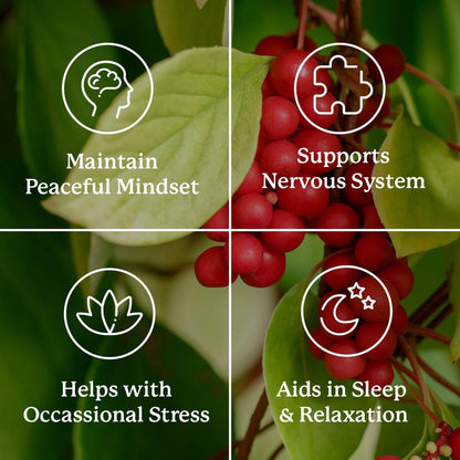 Nature's Sunshine Nutri-Calm - Herbal Stress Relief Supplement, Natural Relief for Adults, Happy Pills for Stress, Sleep & Mood Support, Mood Boost - 100 Tablets - zenfulharmony.com