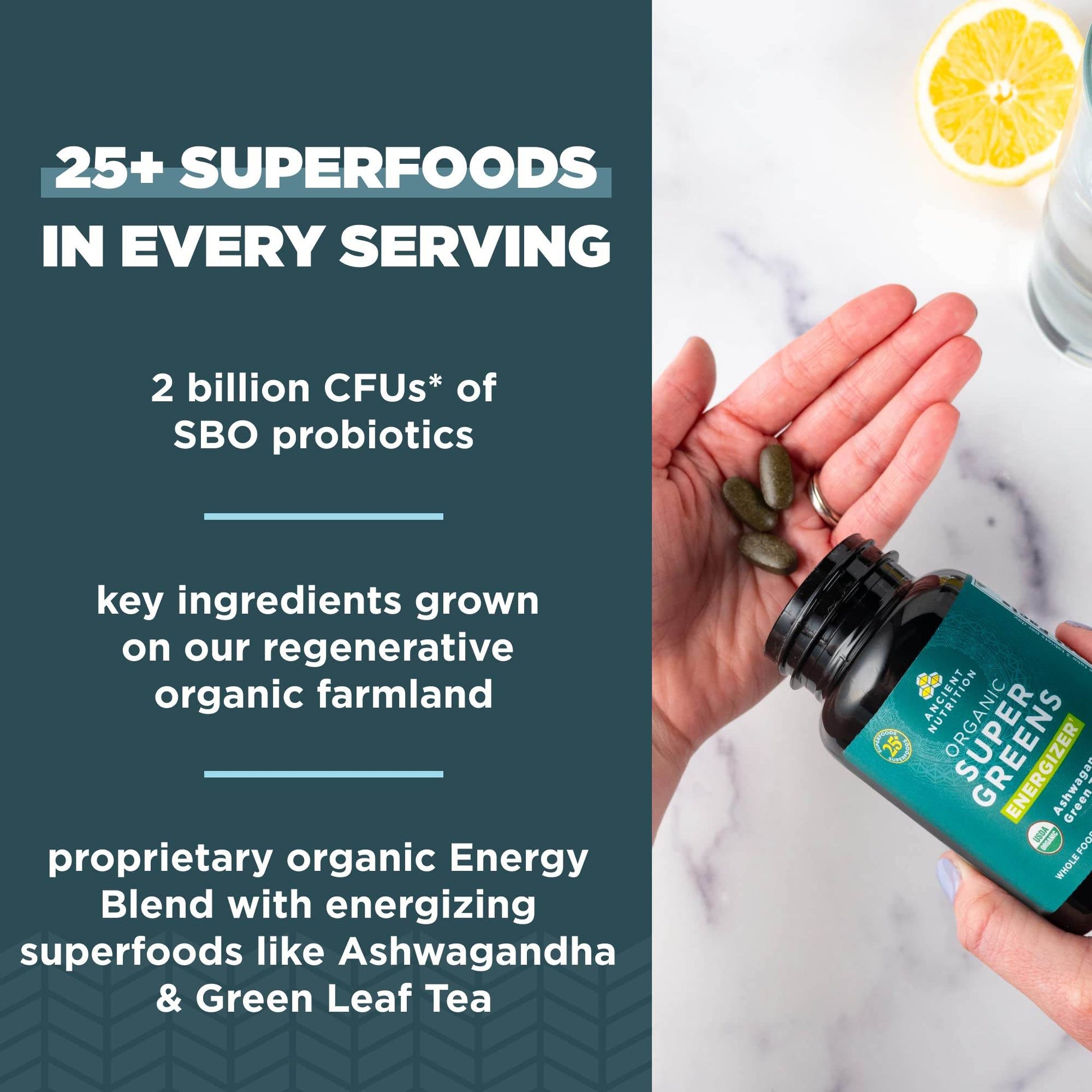Ancient Nutrition Supergreens Energizer Tablets, Organic Superfood Tablets with Caffeine, Made from Real Fruits, Vegetables and Herbs, for Digestive and Energy Support, 90 Count - zenfulharmony.com