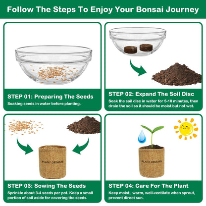 LUOJIBIE Bonsai Tree Kit, Complete Indoor Bonsai Starter Kit for Growing Bonsai Plants with Tools & Pots, Grow Bonsai Tree in Live Indoor, Plant Bonsai Kits, DIY Gardening Gifts for Men and Women - zenfulharmony.com