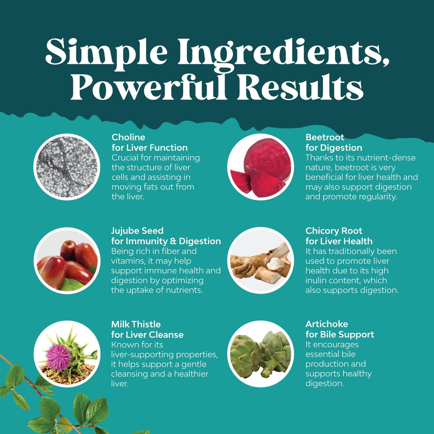Liver Cleanse and Detox & Repair Formula - Herbal Liver Support Supplement with Milk Thistle Dandelion Root & Artichoke Extract for Liver Health - Silymarin Milk Thistle Liver Detox Capsules - zenfulharmony.com