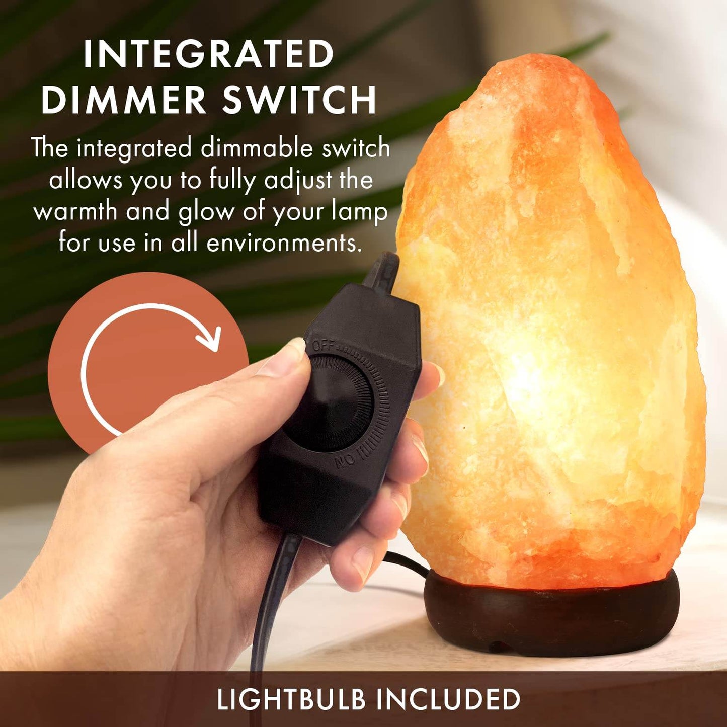 The Body Source Himalayan Salt Lamp 10-12 inches (11-15Ib), Includes Dimmer Switch and Night Light - All Natural Salt Lamp with Handcrafted Wooden Base and Light Bulb Replacement - zenfulharmony.com