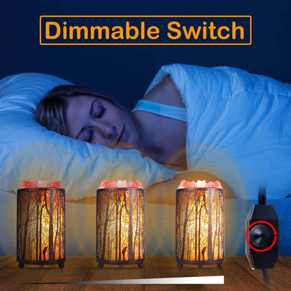 Himalayan Pink Salt Lamp, Natural Salt Rock Lamp with Retro Forest Basket and Dimmer Switch, Romantic Night Light Plug in, Decor Desk Lamp - zenfulharmony.com