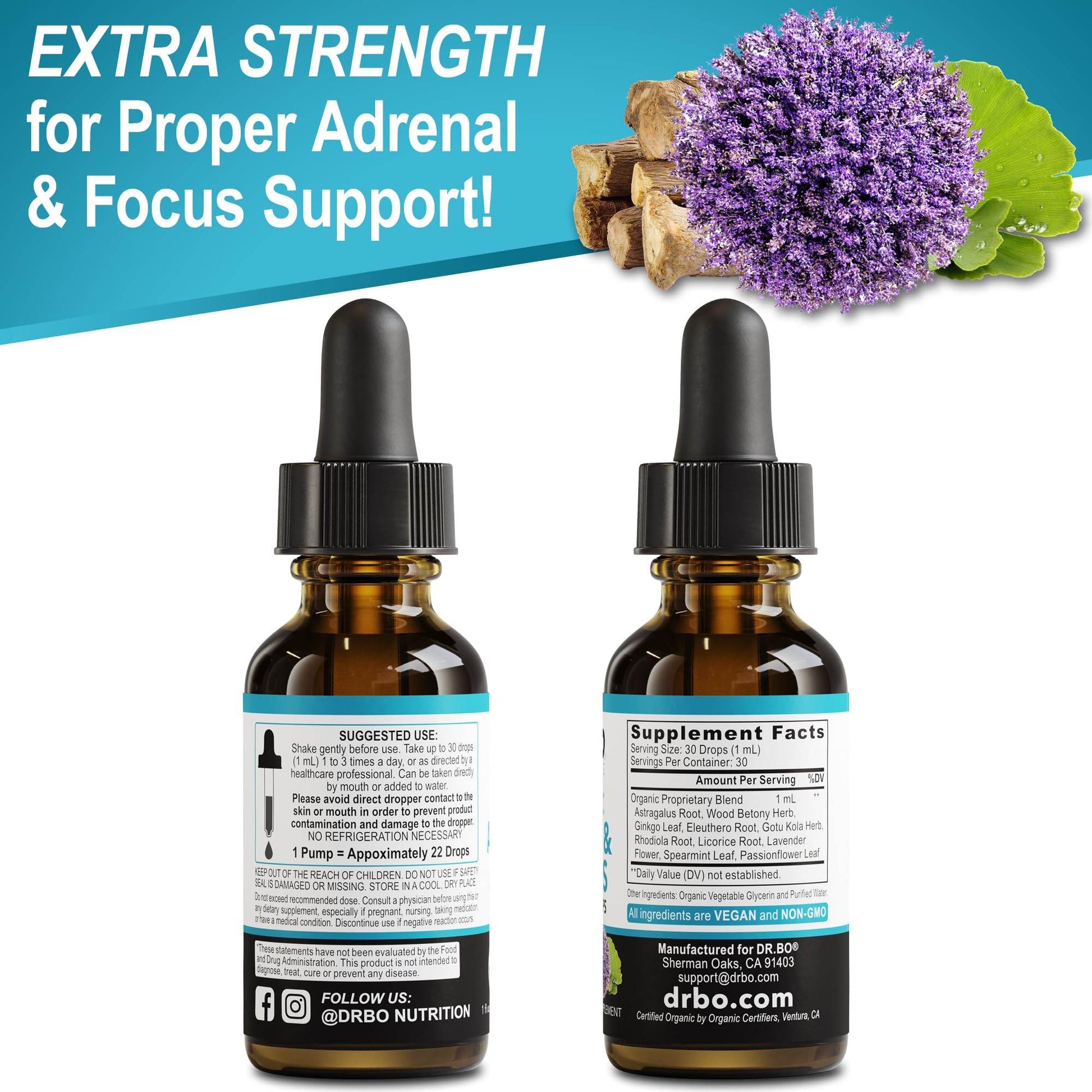 Adrenal Support Supplements Liquid Drops - Organic Adrenal and Focus Supplement, Cortisol Manager Adaptogen Adults, Ginkgo Biloba for Kids Calm - Natural Brain and Memory Fatigue Stress Attention 1oz - zenfulharmony.com