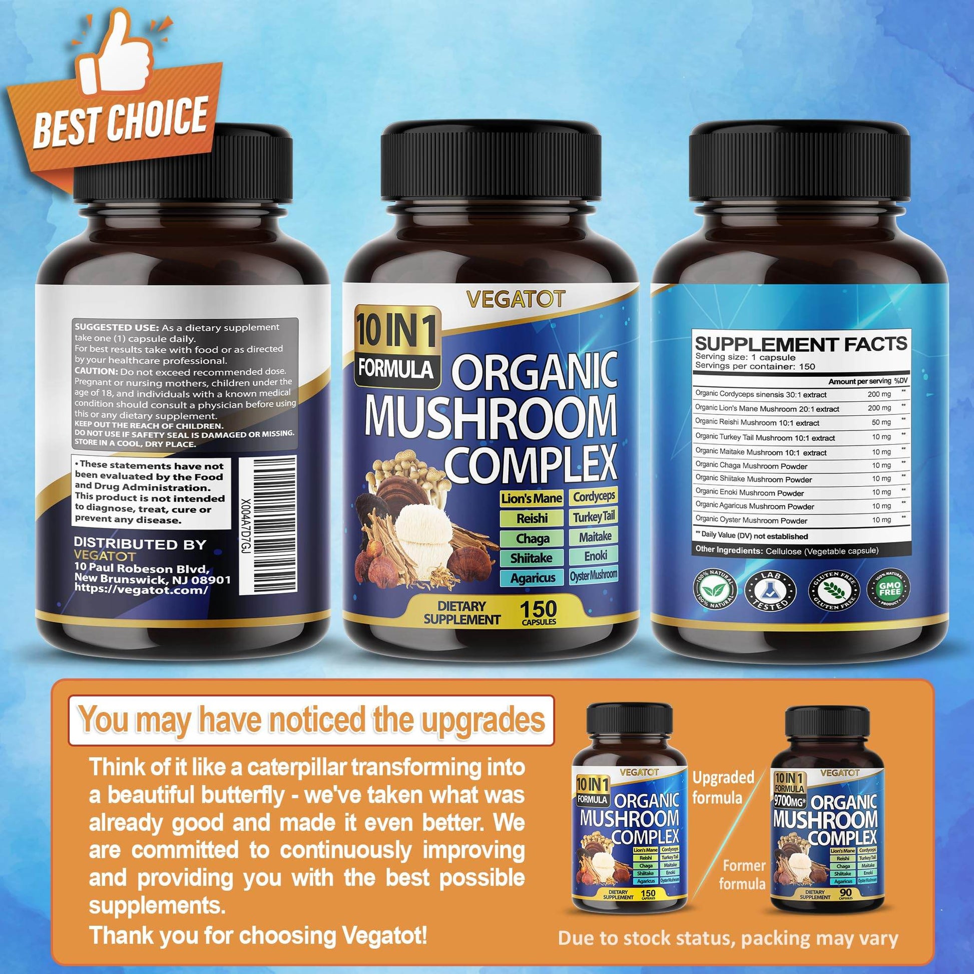 10 in 1 High Strength Mushroom Supplement 9,700MG - Lions Mane, Cordyceps, Reishi - Brain Supplements for Memory and Focus ** 5-Month Supply - zenfulharmony.com