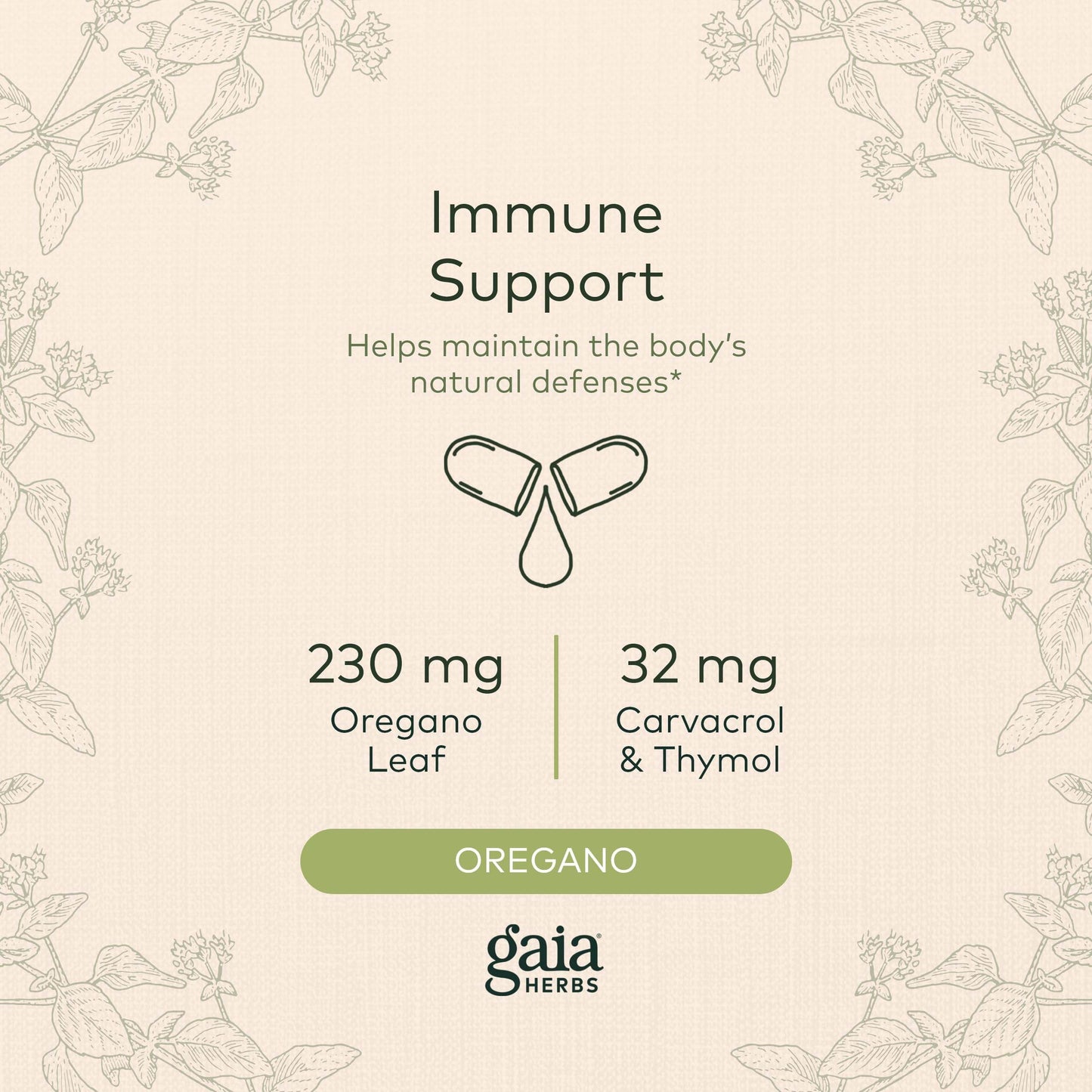 Gaia Herbs Oil of Oregano - with Oregano Oil, Carvacrol, and Thymol - 60 Vegan Liquid Phyto-Capsules (30-Day Supply) - zenfulharmony.com