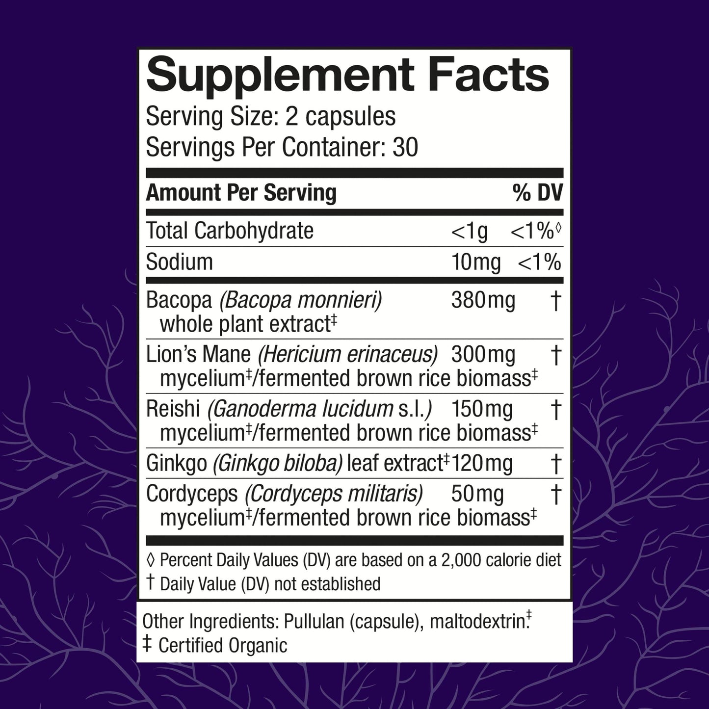 Host Defense MycoBotanicals Brain* Capsules - Brain Support Supplement with Lion's Mane, Reishi & Cordyceps Mushroom - Herbal Supplement for Memory & Focus Support - 60 Capsules (30 Servings)* - zenfulharmony.com
