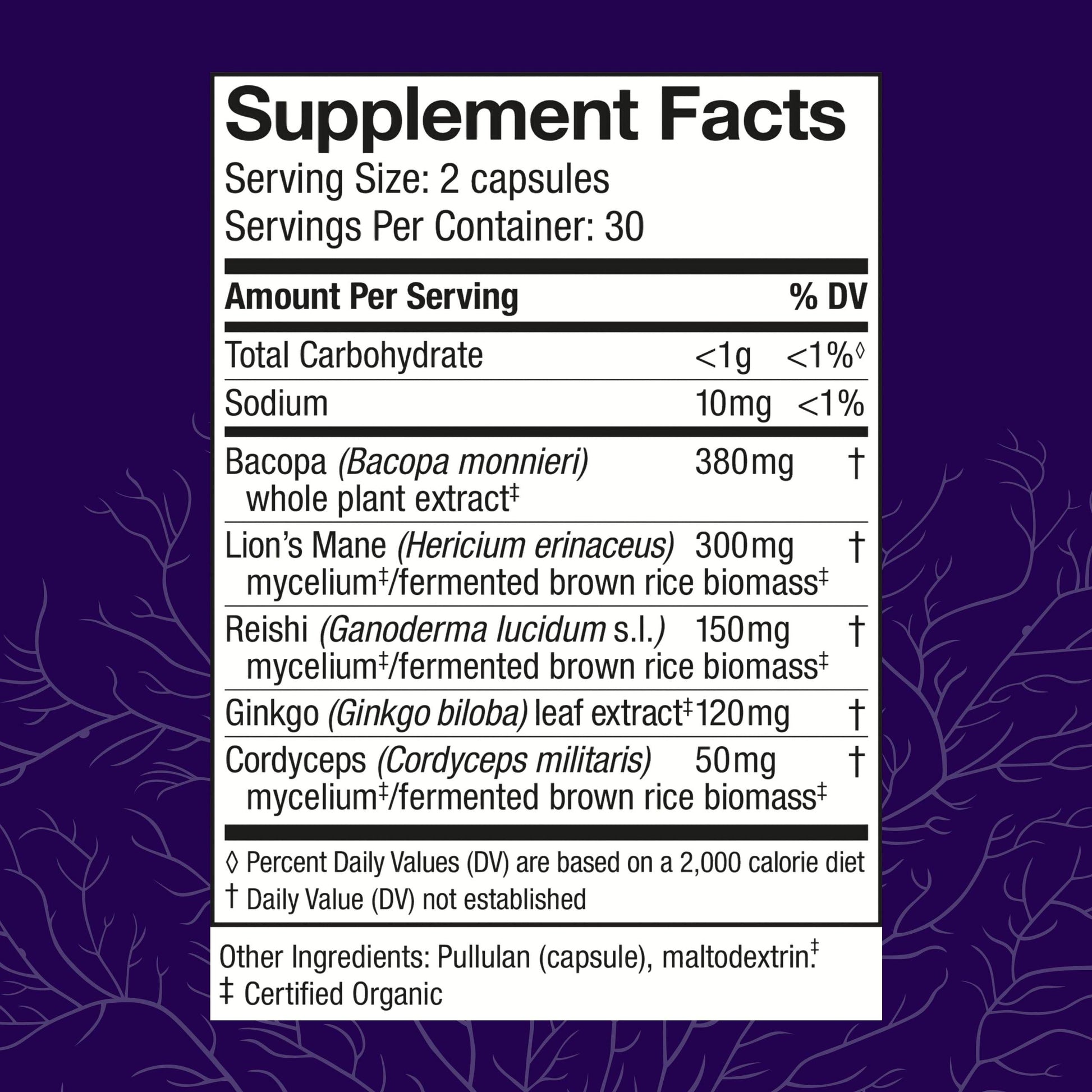 Host Defense MycoBotanicals Brain* Capsules - Brain Support Supplement with Lion's Mane, Reishi & Cordyceps Mushroom - Herbal Supplement for Memory & Focus Support - 60 Capsules (30 Servings)* - zenfulharmony.com