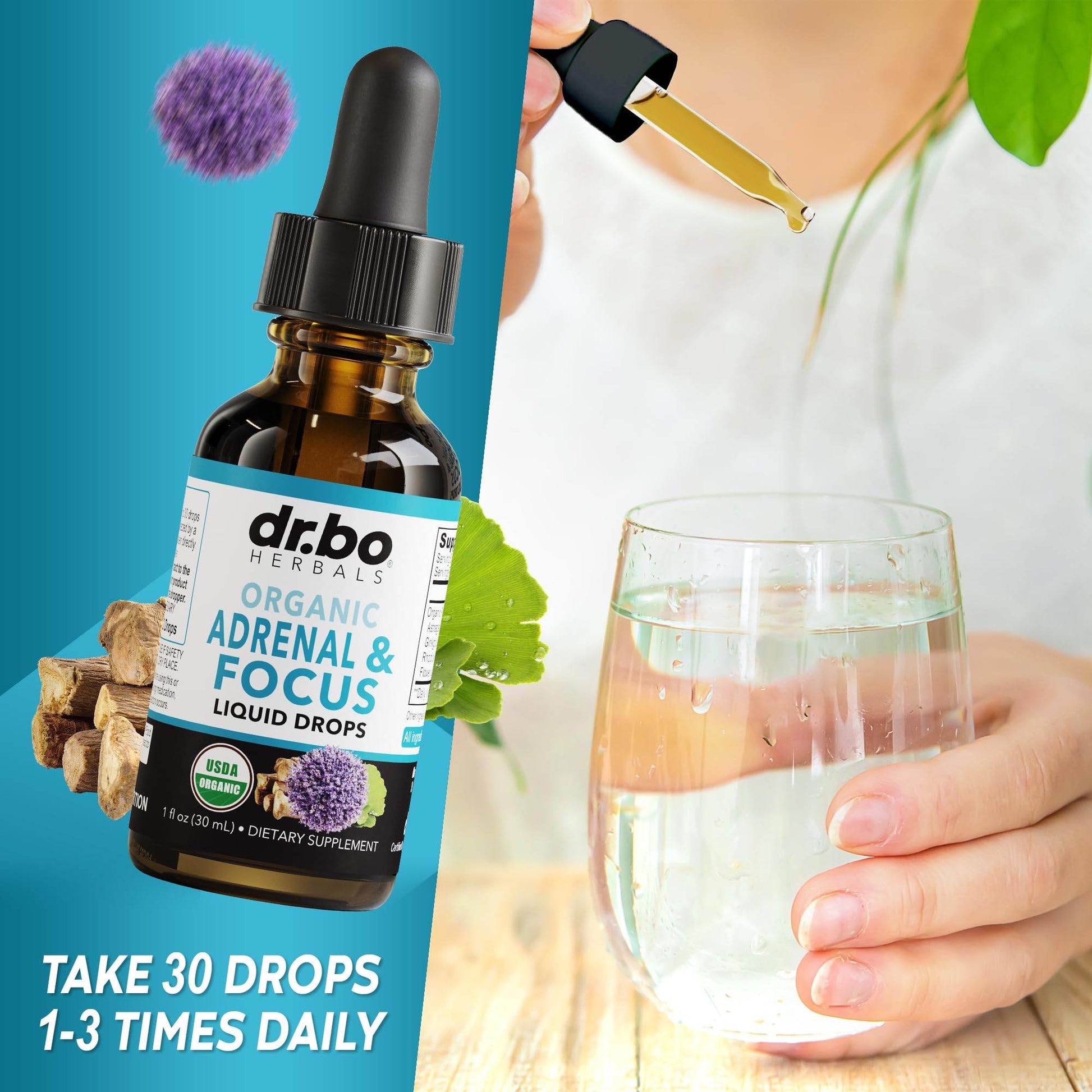 Adrenal Support Supplements Liquid Drops - Organic Adrenal and Focus Supplement, Cortisol Manager Adaptogen Adults, Ginkgo Biloba for Kids Calm - Natural Brain and Memory Fatigue Stress Attention 1oz - zenfulharmony.com
