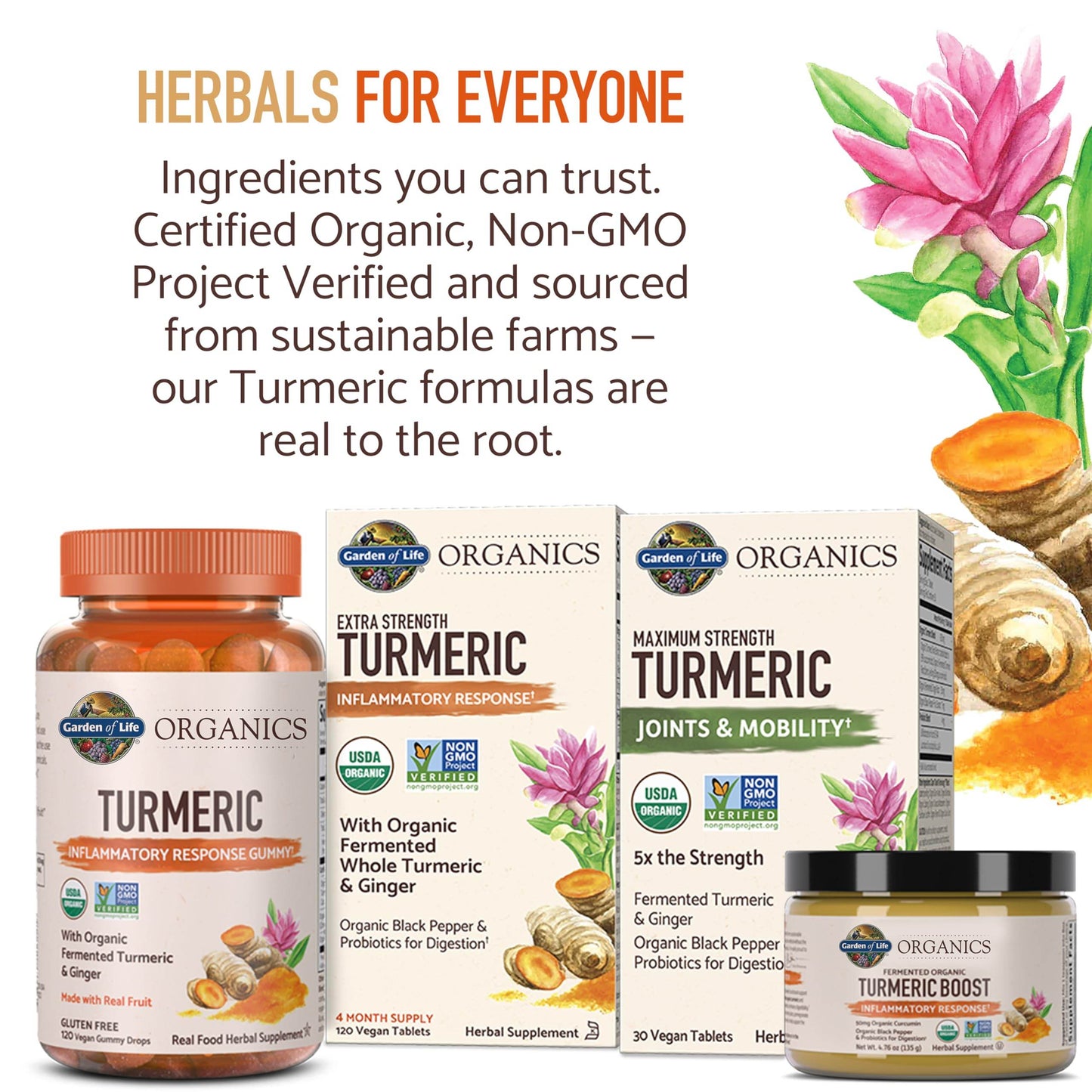 Garden of Life Organics Extra Strength Turmeric Inflammatory Response 120 Tablets-100Mg Curcumin (95% Curcuminoids) Black Pepper, Probiotics, Organic Non-GMO Vegan Gluten Free Herbal Supplement - zenfulharmony.com