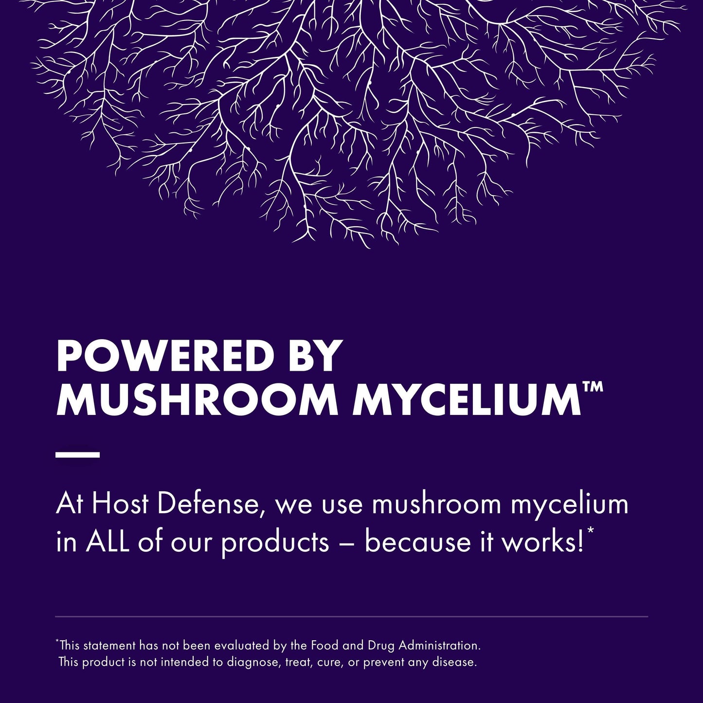 Host Defense MycoBotanicals Brain* Capsules - Brain Support Supplement with Lion's Mane, Reishi & Cordyceps Mushroom - Herbal Supplement for Memory & Focus Support - 60 Capsules (30 Servings)* - zenfulharmony.com