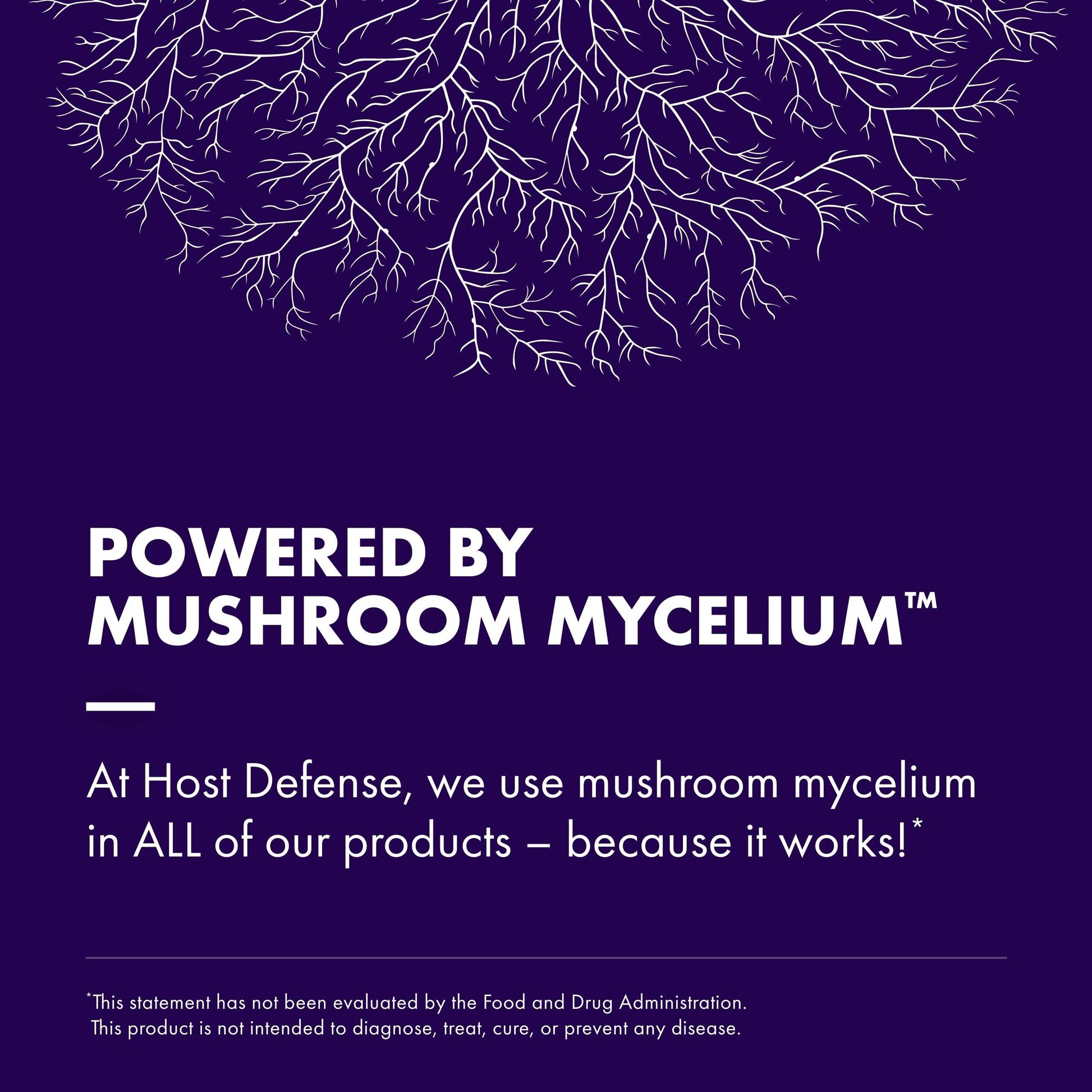 Host Defense MycoBotanicals Brain* Capsules - Brain Support Supplement with Lion's Mane, Reishi & Cordyceps Mushroom - Herbal Supplement for Memory & Focus Support - 60 Capsules (30 Servings)* - zenfulharmony.com