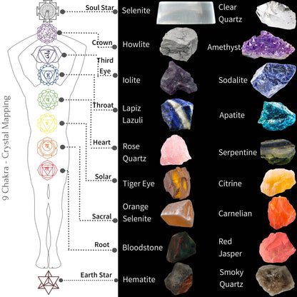 42 PCS Premium Crystals and Healing Stones Set for 9 Chakra: 19 Raw Crystals (Selenite Stick), 1 Angel, 1 Worry Stone, 1 Bracelet, 1 Grid Cloth, 1 Dowser, 9 Poster, 7 Bookmark, 1 Guide, 1 Glue Roll - zenfulharmony.com