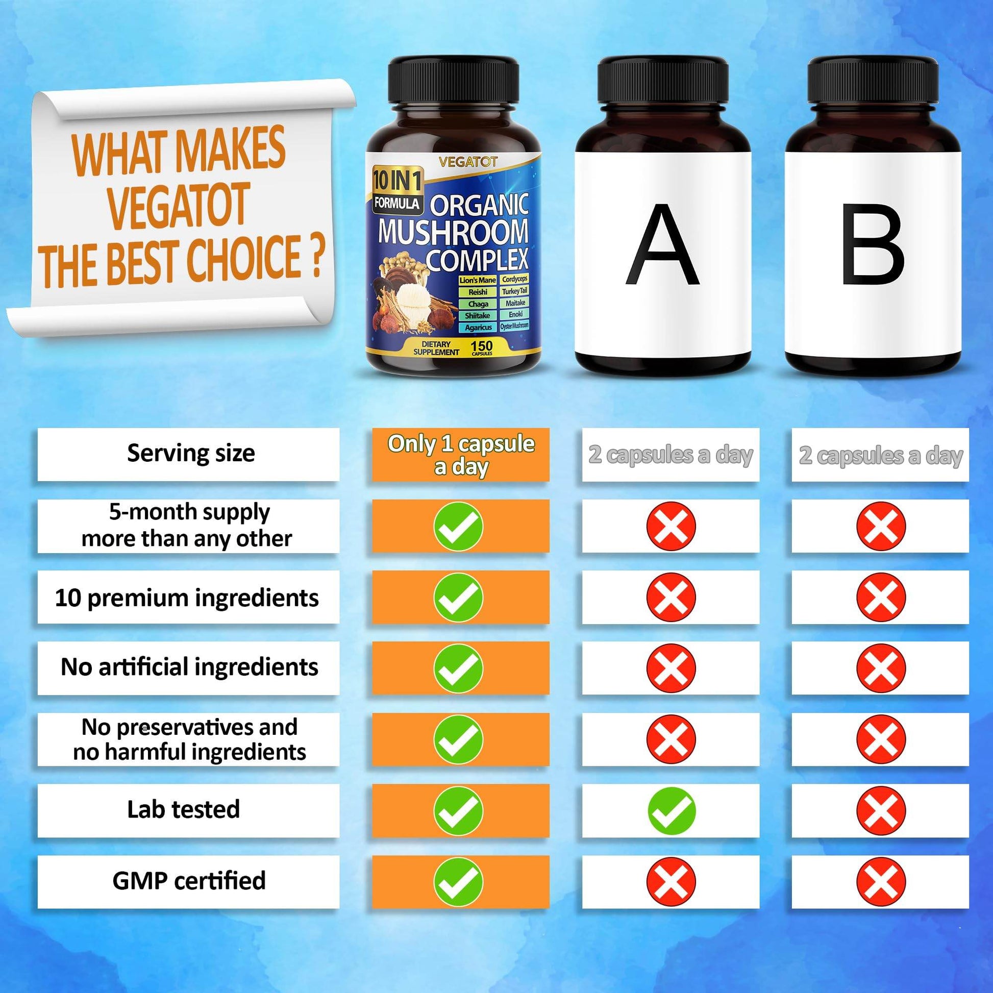10 in 1 High Strength Mushroom Supplement 9,700MG - Lions Mane, Cordyceps, Reishi - Brain Supplements for Memory and Focus ** 5-Month Supply - zenfulharmony.com