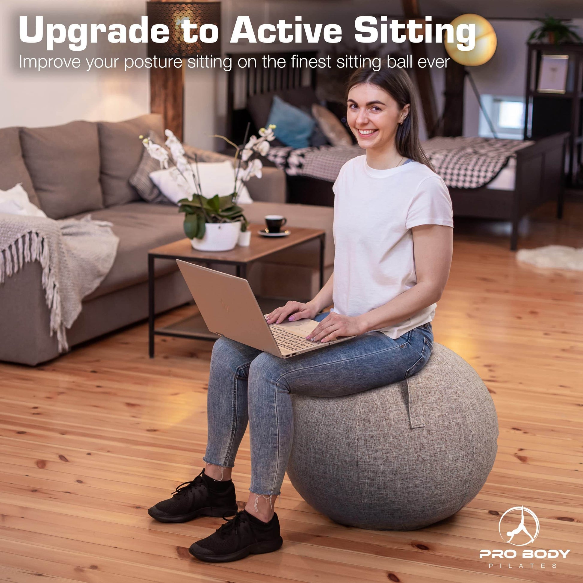 ProBody Pilates Yoga Ball Chair - Exercise Ball Chair for Home or Office, Balance Ball Chair with Yoga Ball Cover, Upgrade Stability Ball with Attractive Cover (Ash, 24 in) - zenfulharmony.com