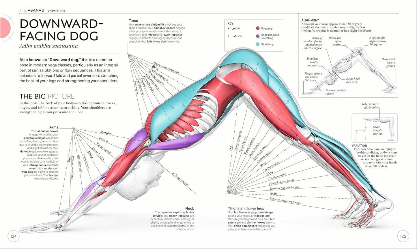 Science of Yoga: Understand the Anatomy and Physiology to Perfect Your Practice (DK Science of) - zenfulharmony.com