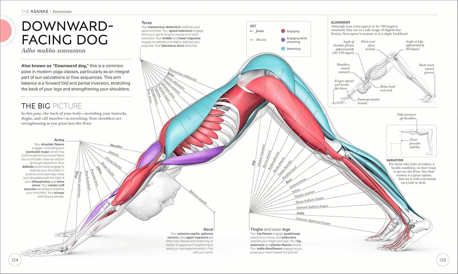 Science of Yoga: Understand the Anatomy and Physiology to Perfect Your Practice (DK Science of) - zenfulharmony.com