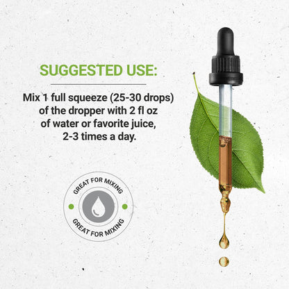 Secrets of the Tribe Dandelion Leaf USDA Organic | Alcohol-Free Extract, High-Potency Herbal Drops | Made from 100% Certified Organic Dandelion Leaf (Taraxacum Officinale) Dried Leaf 4 fl oz - zenfulharmony.com