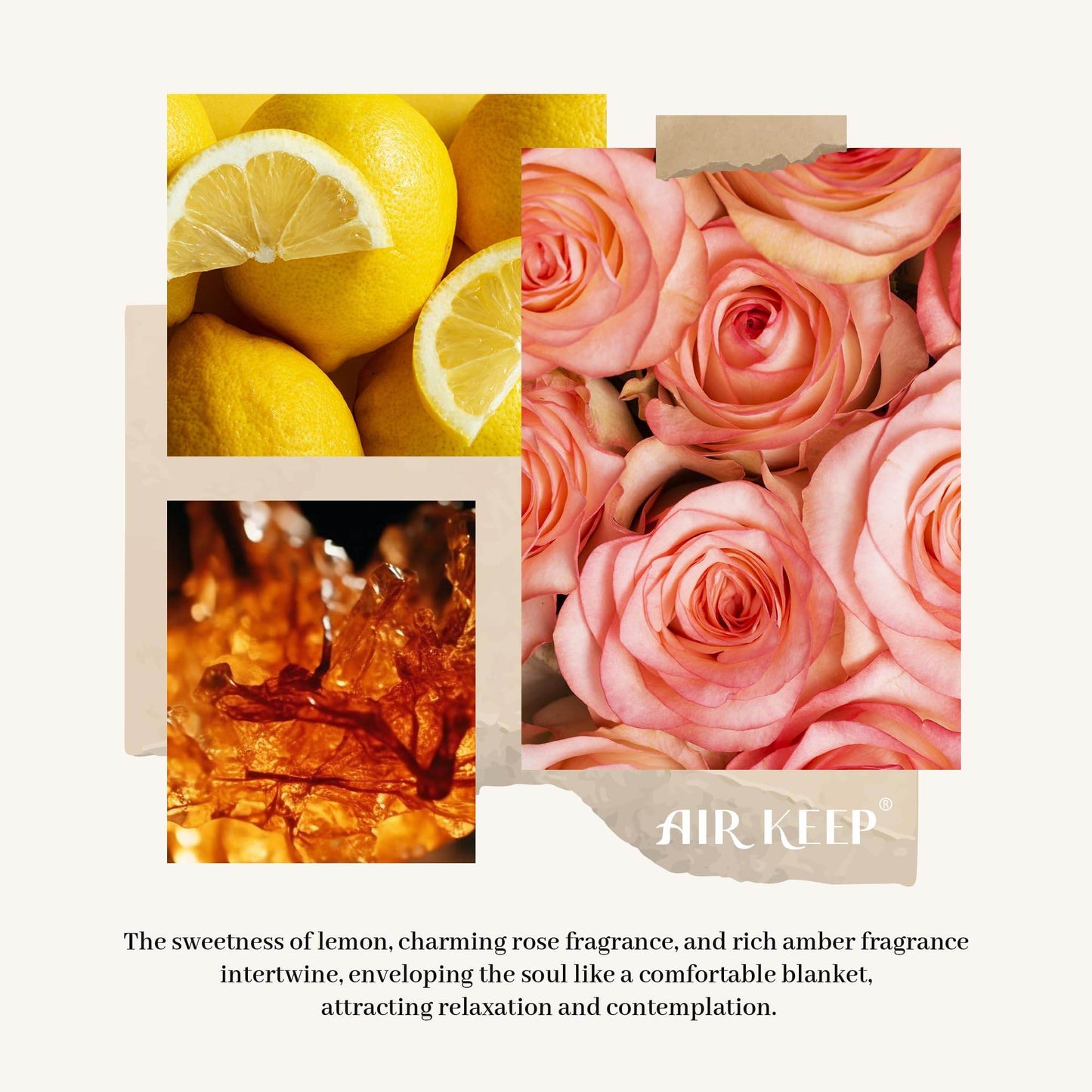 Airkeep Reed Diffuser Set -10.15 oz(300ml) Moroccan Amber Fragrance Diffuser, Luxury Aromatherapy Reed Diffuser, Scented Oil Diffuser with Reed Sticks for Home&Office Decor, Fragrance and Gifts - zenfulharmony.com