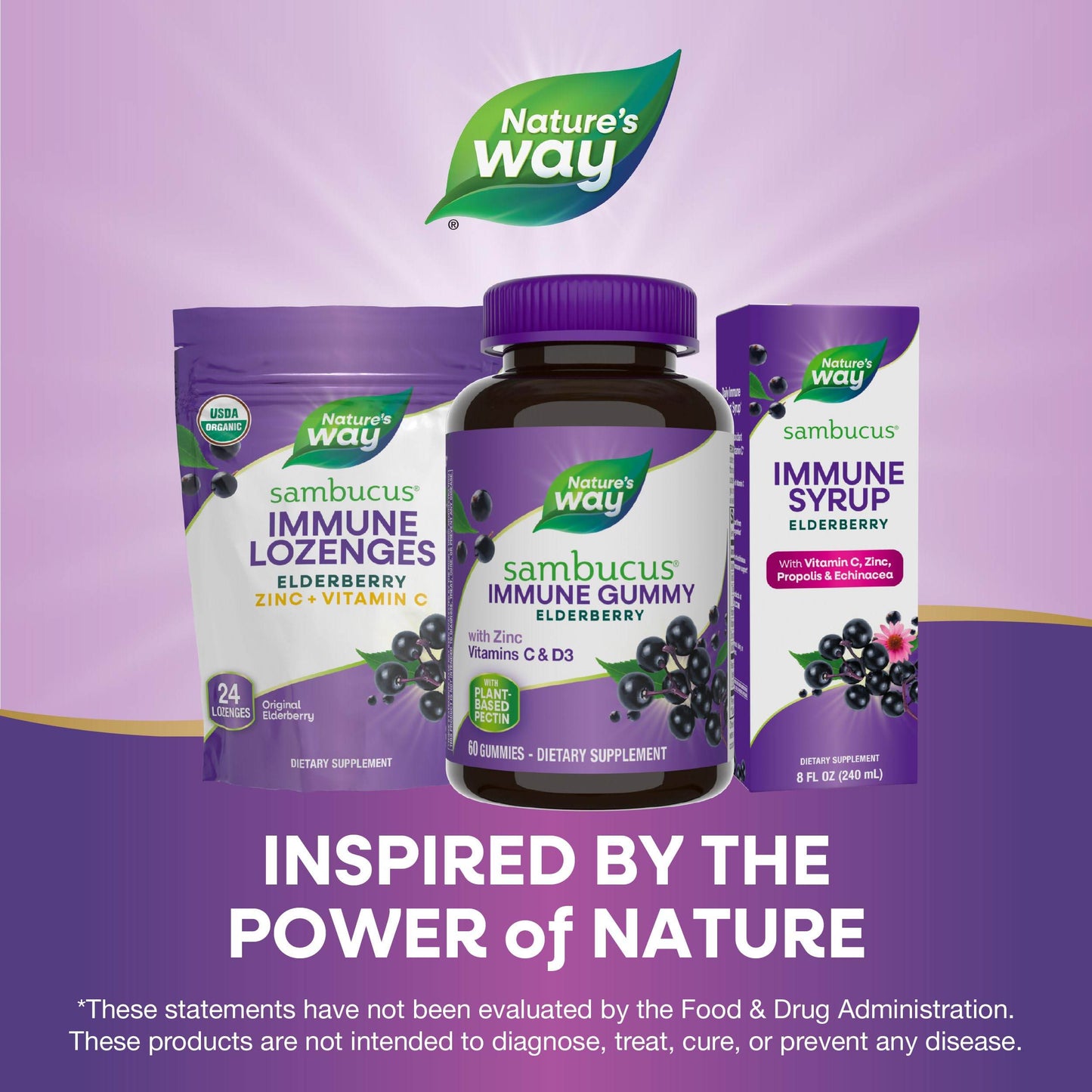 Nature’s Way Sambucus Elderberry Immune Gummies, Daily Immune Support for Kids and Adults*, with Vitamin C, Vitamin D3, Zinc, Gluten Free, Vegetarian, 60 Gummies (Packaging May Vary) - zenfulharmony.com