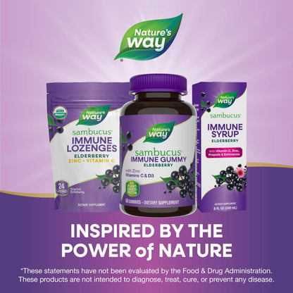 Nature’s Way Sambucus Elderberry Immune Gummies, Daily Immune Support for Kids and Adults*, with Vitamin C, Vitamin D3, Zinc, Gluten Free, Vegetarian, 60 Gummies (Packaging May Vary) - zenfulharmony.com