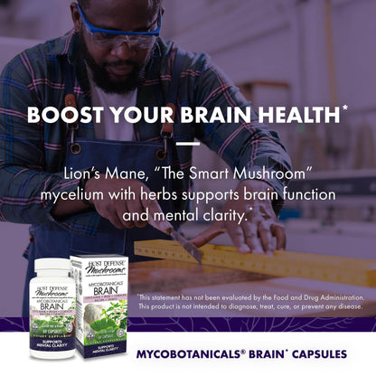 Host Defense MycoBotanicals Brain* Capsules - Brain Support Supplement with Lion's Mane, Reishi & Cordyceps Mushroom - Herbal Supplement for Memory & Focus Support - 60 Capsules (30 Servings)* - zenfulharmony.com