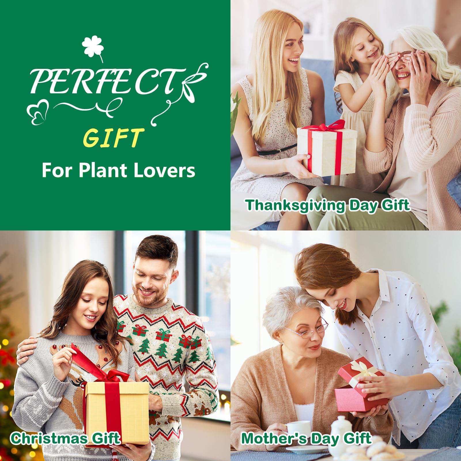 LUOJIBIE Bonsai Tree Kit, Complete Indoor Bonsai Starter Kit for Growing Bonsai Plants with Tools & Pots, Grow Bonsai Tree in Live Indoor, Plant Bonsai Kits, DIY Gardening Gifts for Men and Women - zenfulharmony.com