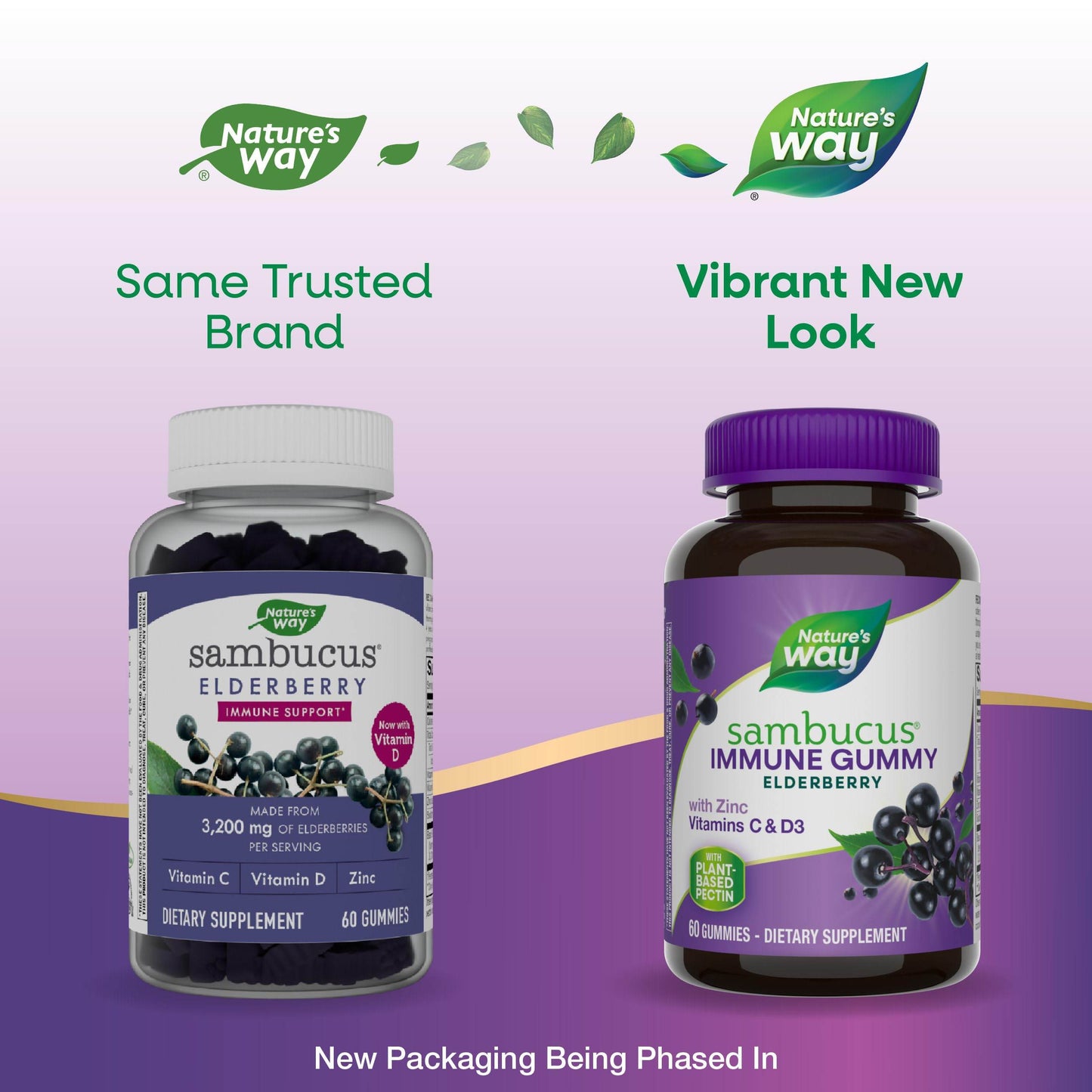 Nature’s Way Sambucus Elderberry Immune Gummies, Daily Immune Support for Kids and Adults*, with Vitamin C, Vitamin D3, Zinc, Gluten Free, Vegetarian, 60 Gummies (Packaging May Vary) - zenfulharmony.com