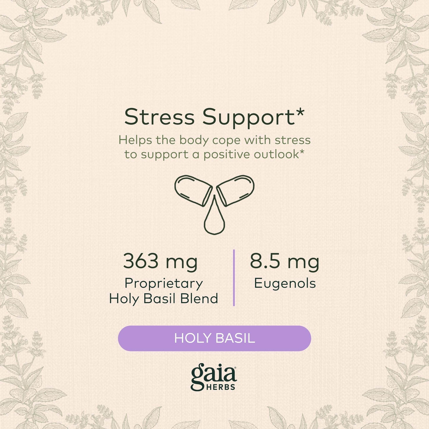 Gaia Herbs Pro Holy Basil Leaf - Stress Support Supplement with Holy Basil - Herbal Supplements to Support a Positive Mindset - 60 Liquid Phyto-Caps - zenfulharmony.com