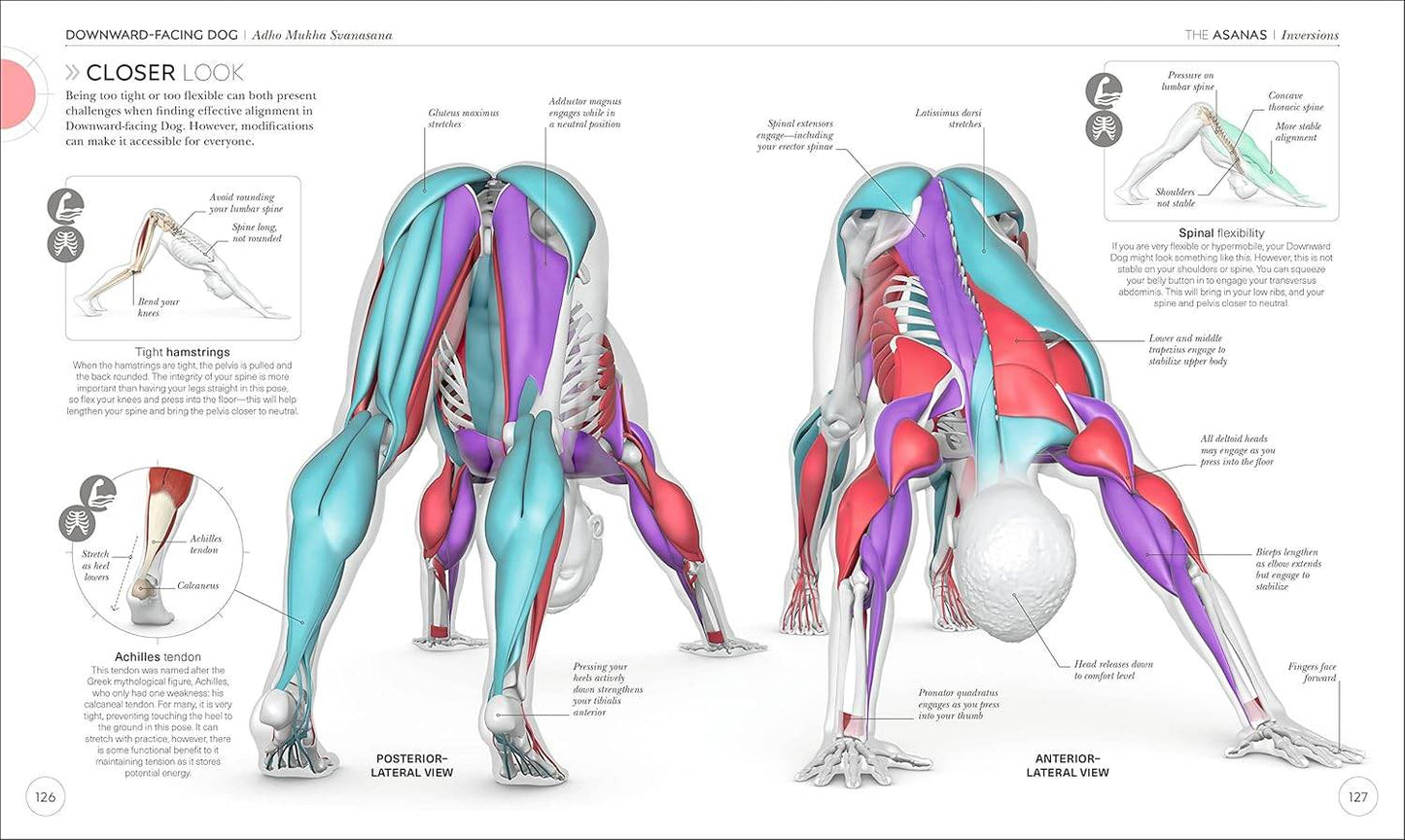 Science of Yoga: Understand the Anatomy and Physiology to Perfect Your Practice (DK Science of) - zenfulharmony.com