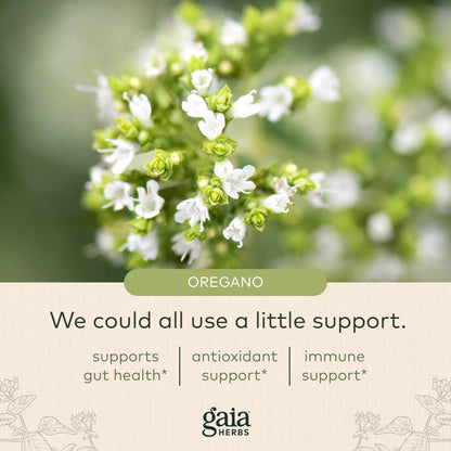 Gaia Herbs Oil of Oregano - with Oregano Oil, Carvacrol, and Thymol - 60 Vegan Liquid Phyto-Capsules (30-Day Supply) - zenfulharmony.com