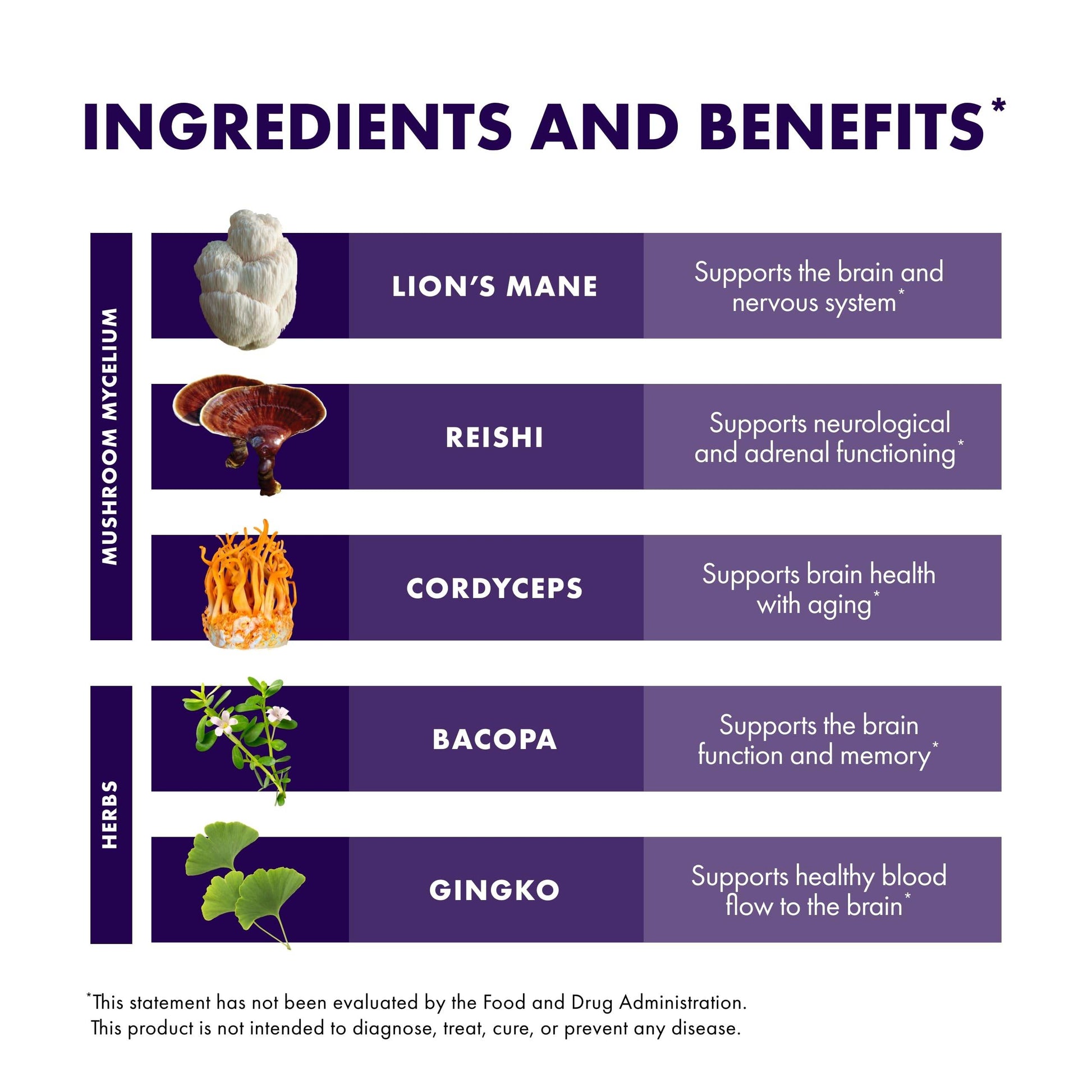 Host Defense MycoBotanicals Brain* Capsules - Brain Support Supplement with Lion's Mane, Reishi & Cordyceps Mushroom - Herbal Supplement for Memory & Focus Support - 60 Capsules (30 Servings)* - zenfulharmony.com